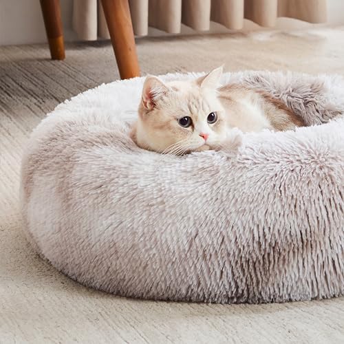 Western Home WH calming bed interior uses PP cotton for gentle support.