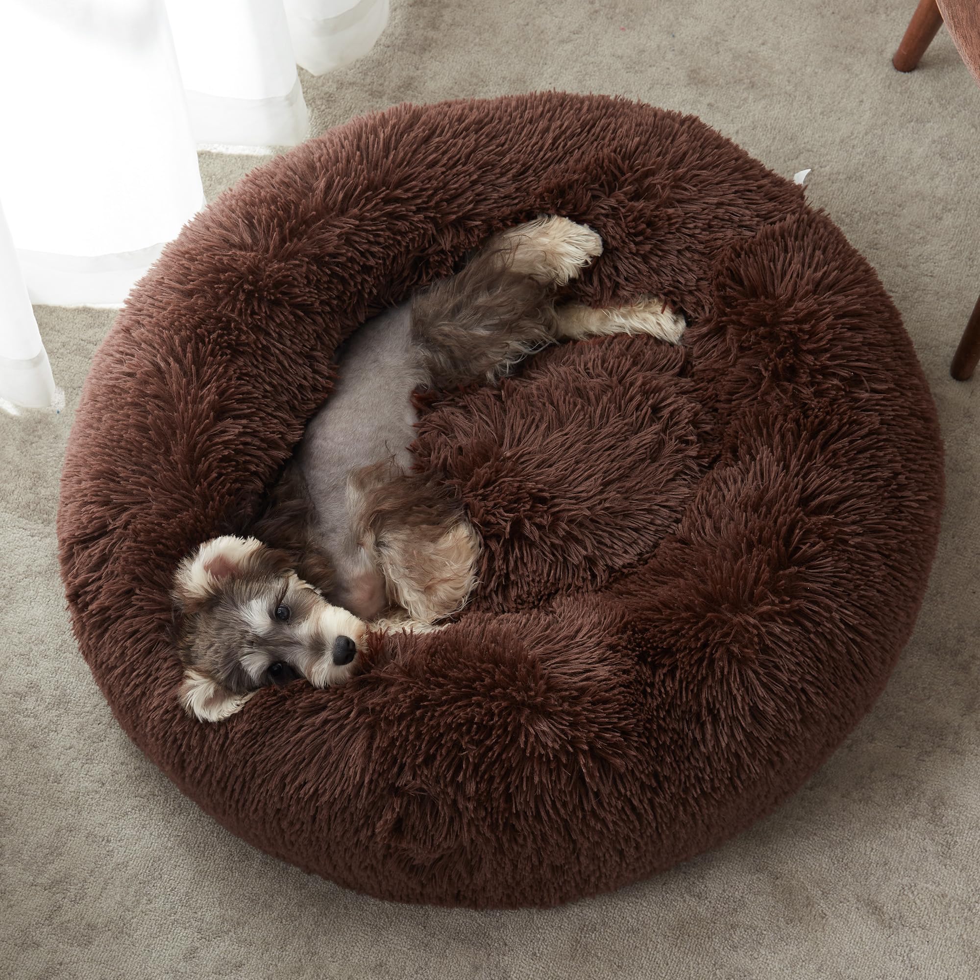WESTERN HOME WH Calming Bed round interior closeup highlighting plush softness