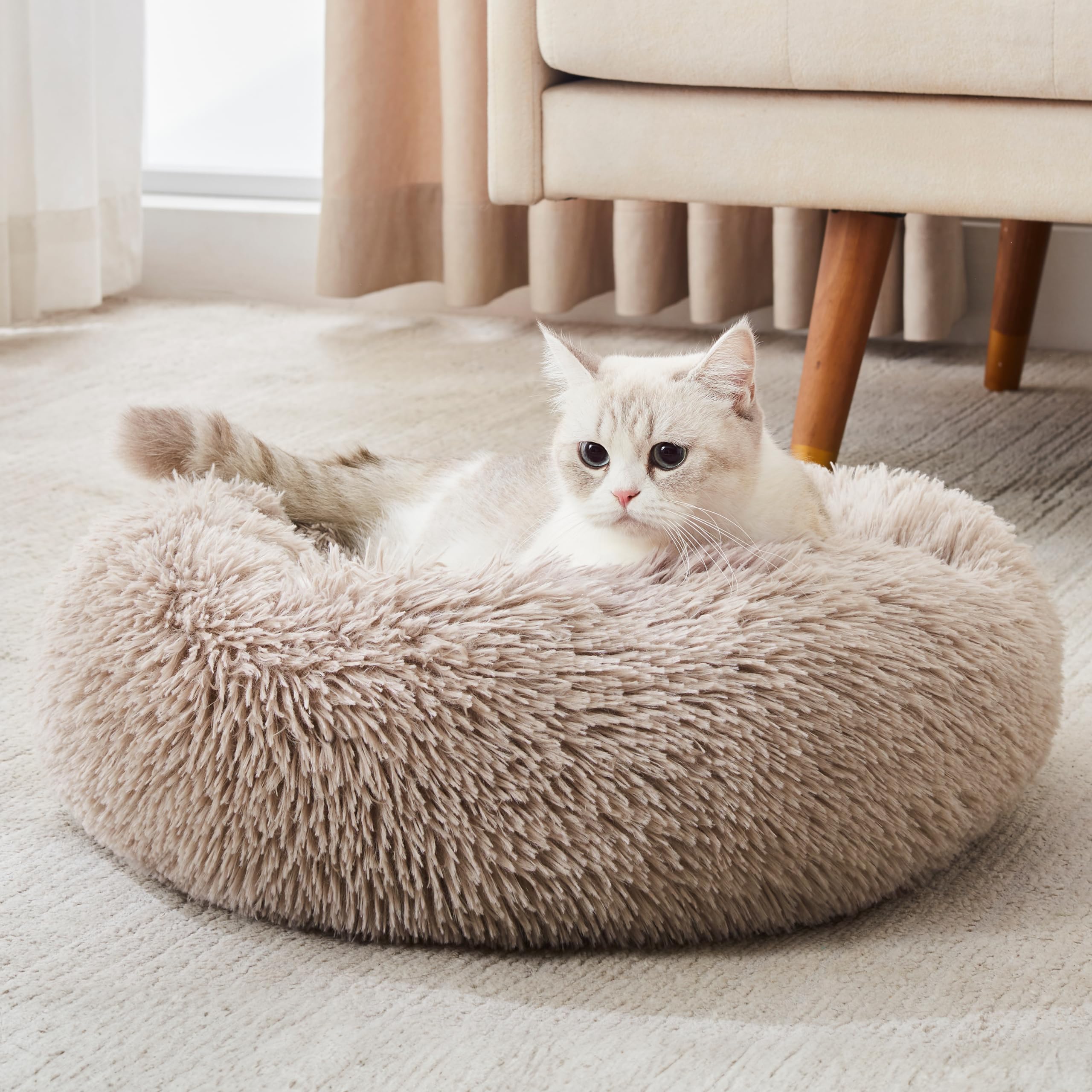 WESTERN HOME WH Donut bed side profile showing secure, rounded shape.