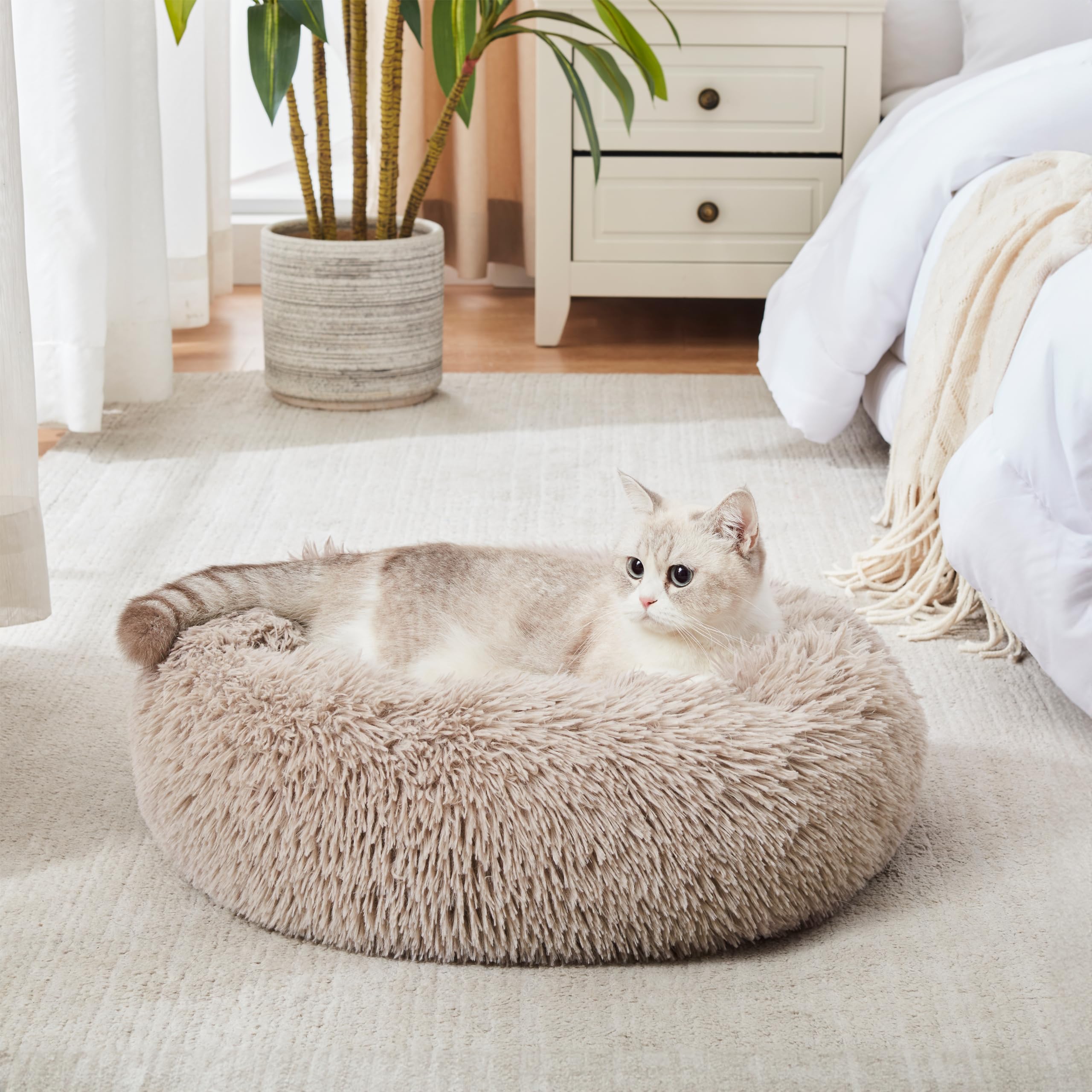 WESTERN HOME WH Donut bed top view showcasing plush cushioning for curling pets.