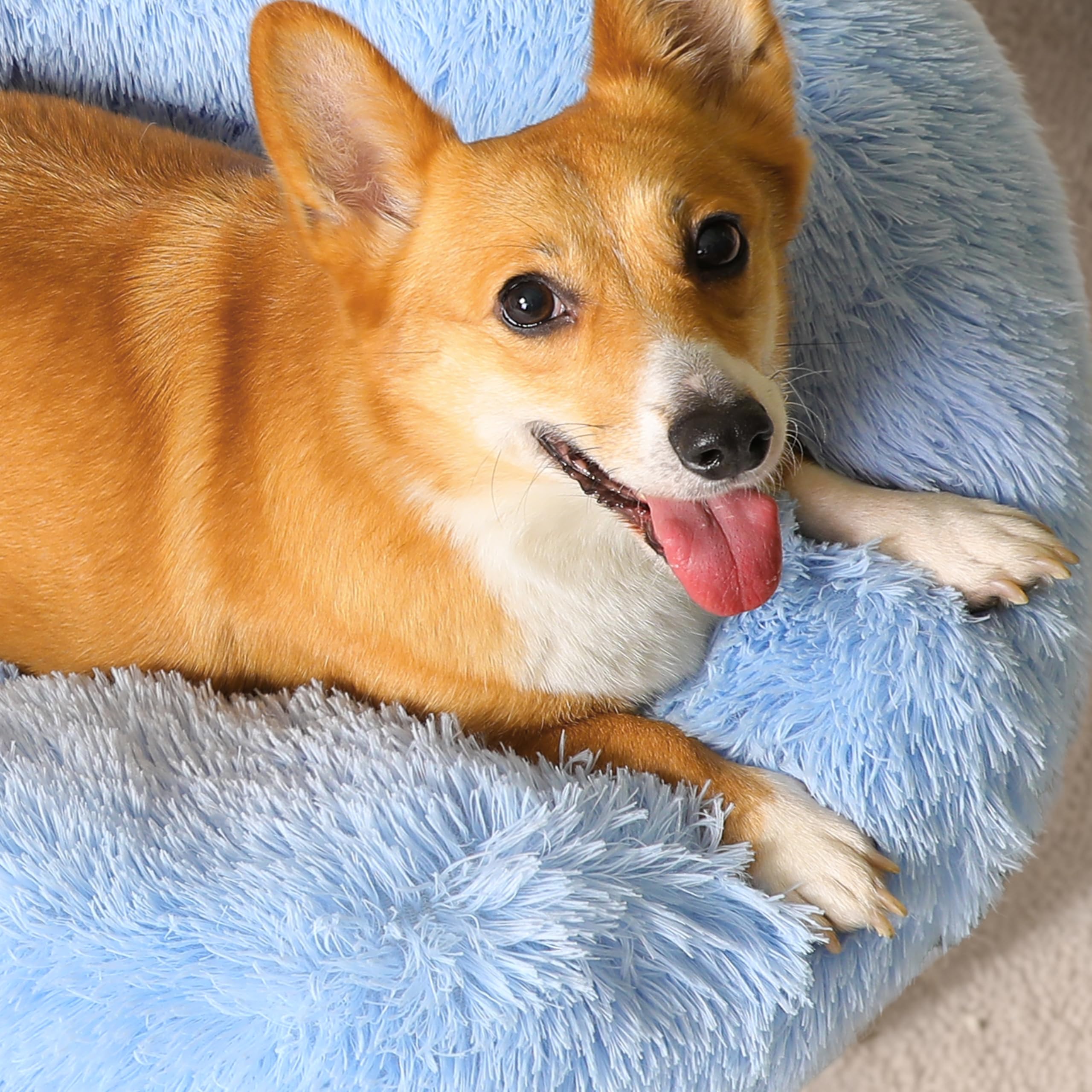 WESTERN HOME WH non-slip-bottom keeps the bed stable during play.