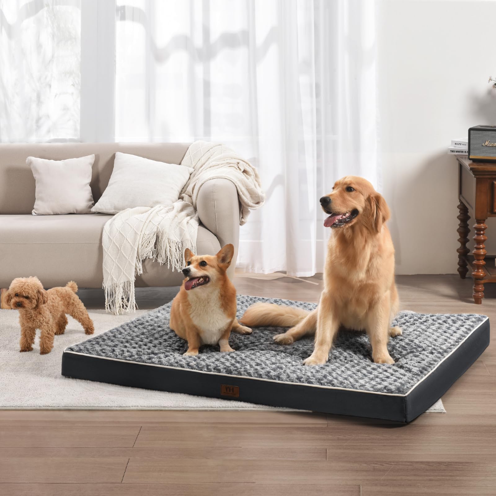 WESTERN HOME WH rose plush surface offers gentle comfort for long rests.