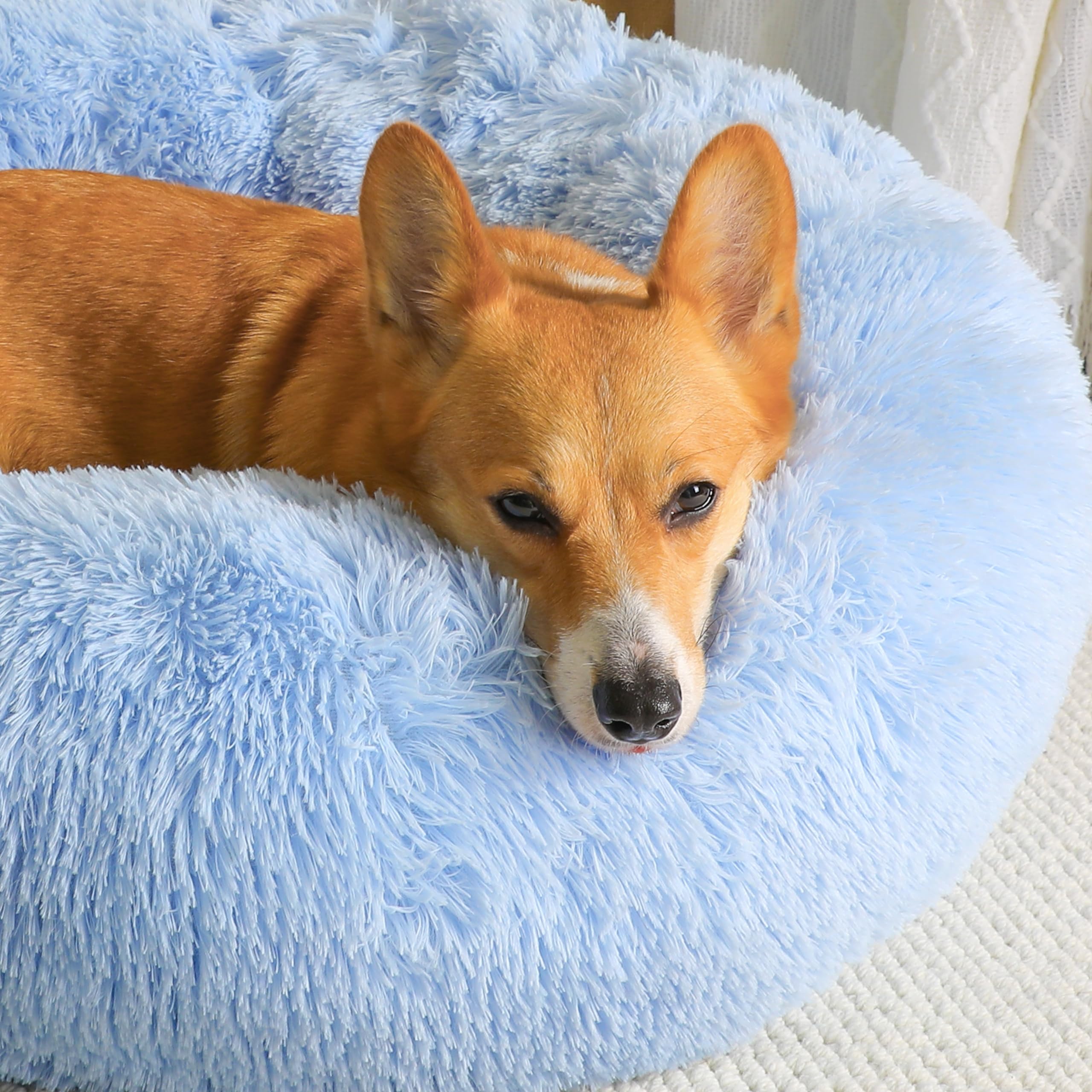 WESTERN HOME WH round-pet-bed with plush fur for cozy naps.