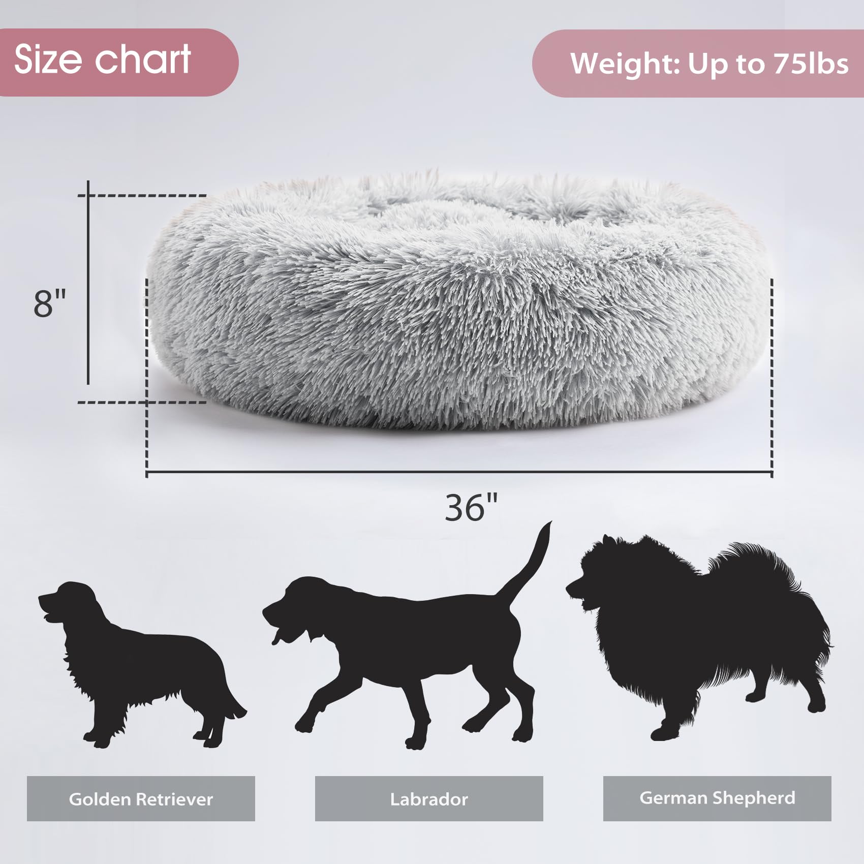 Western Home WH Size Options 20-30 inch to fit small to medium pets.