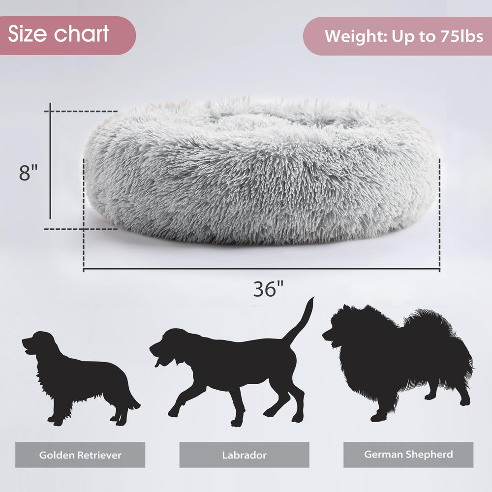 Western Home WH Size Options 20-30 inch to fit small to medium pets.