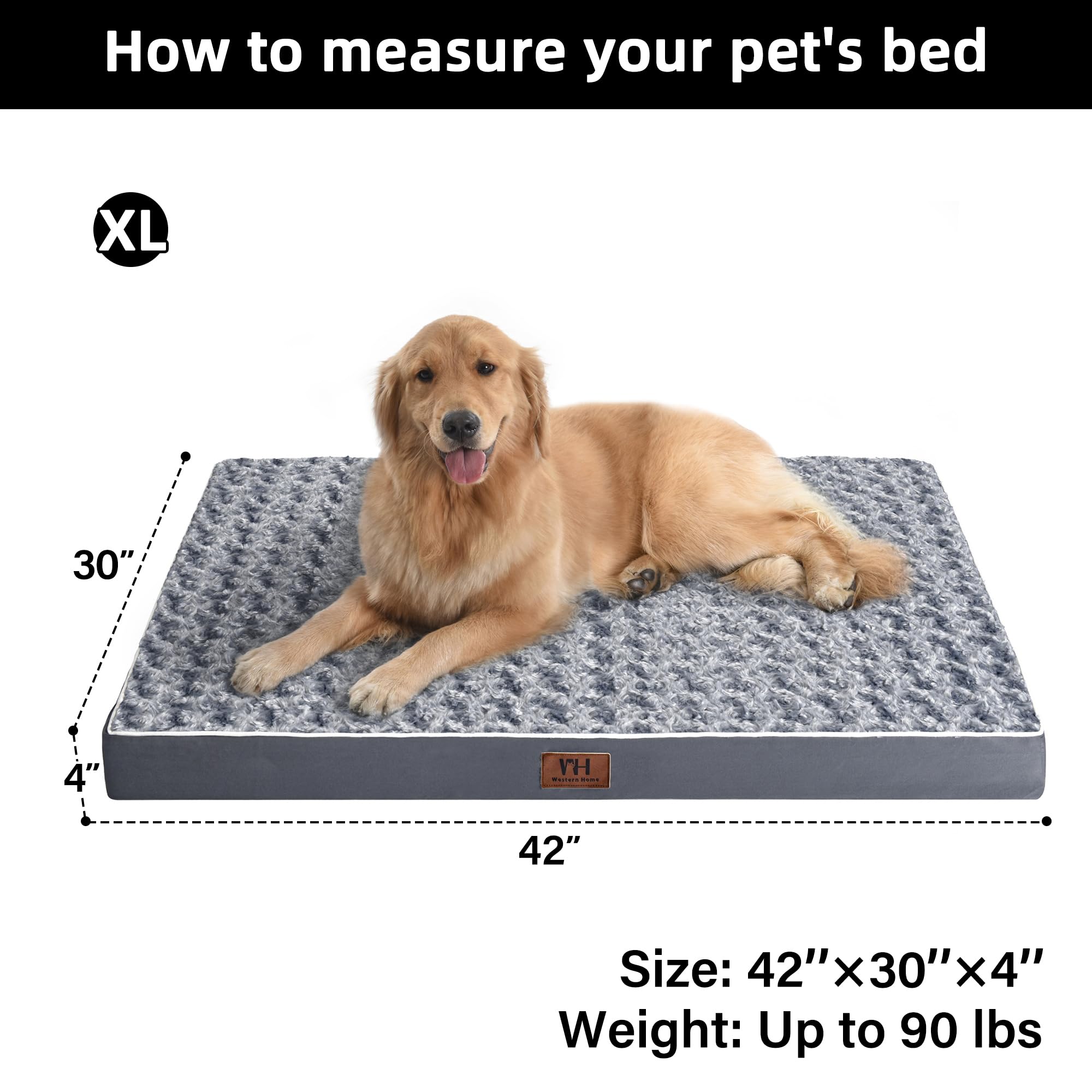 WESTERN HOME WH versatile placement fits cages, cars, sofas and floors