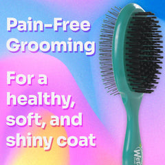 Wet Brush PetBrush 2-in-1 detangle bristles close-up IntelliFlex