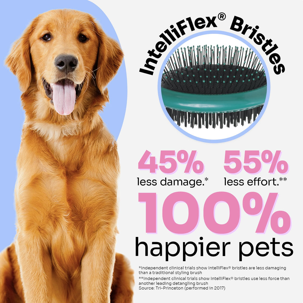Wet Brush PetBrush 2-in-1 detangle for dogs, cats and rabbits in action