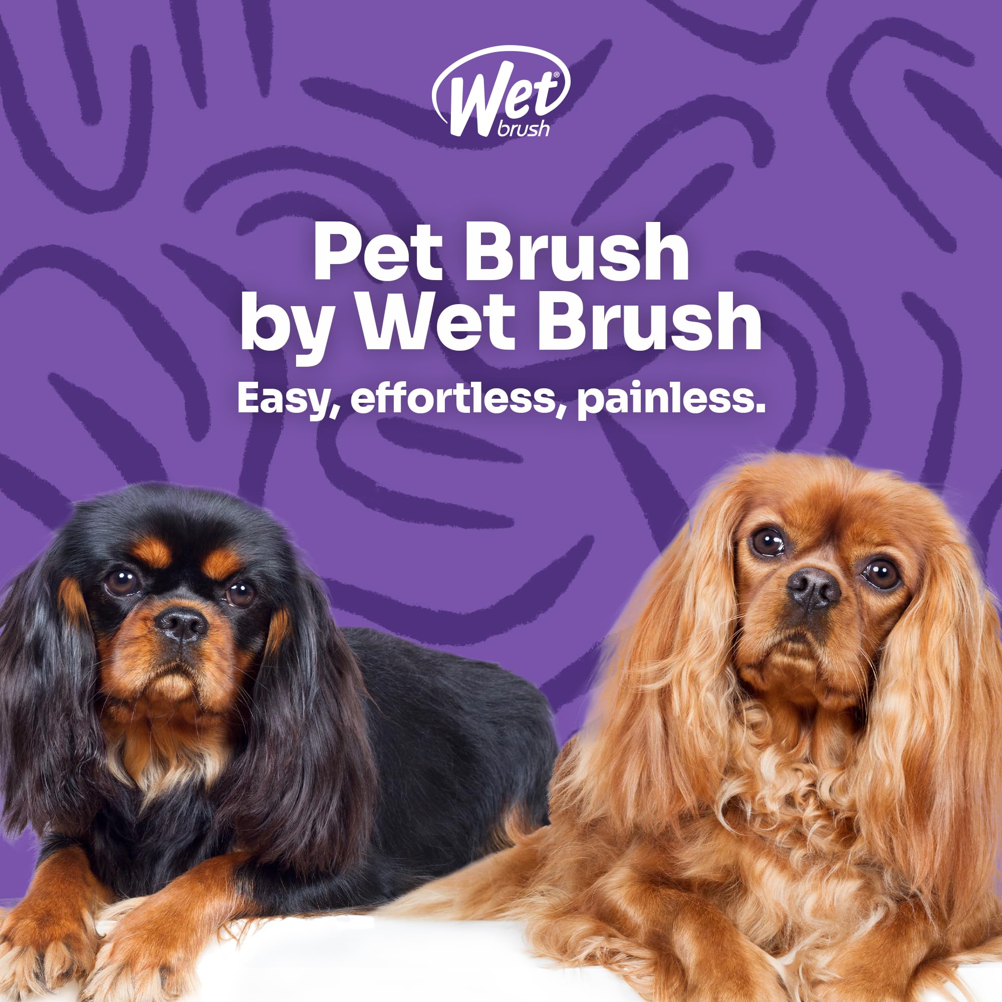Wet Brush PetBrush 2-in-1 detangle teal easy-clean handle for maintenance