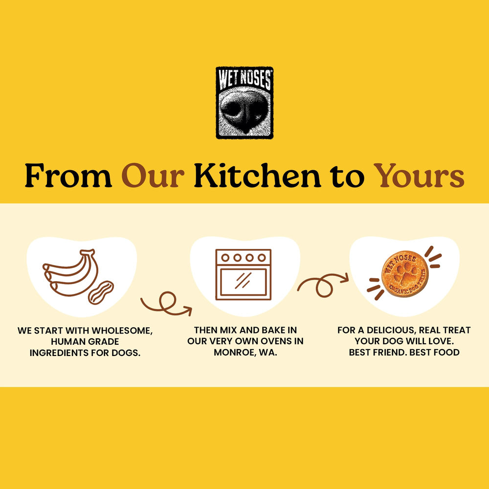 Grain-free organic ingredients suitable for grain-sensitive dogs