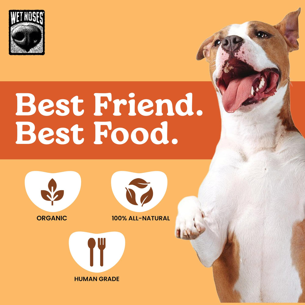 Wet Noses treats arranged beside a dog bowl for daily snacking.