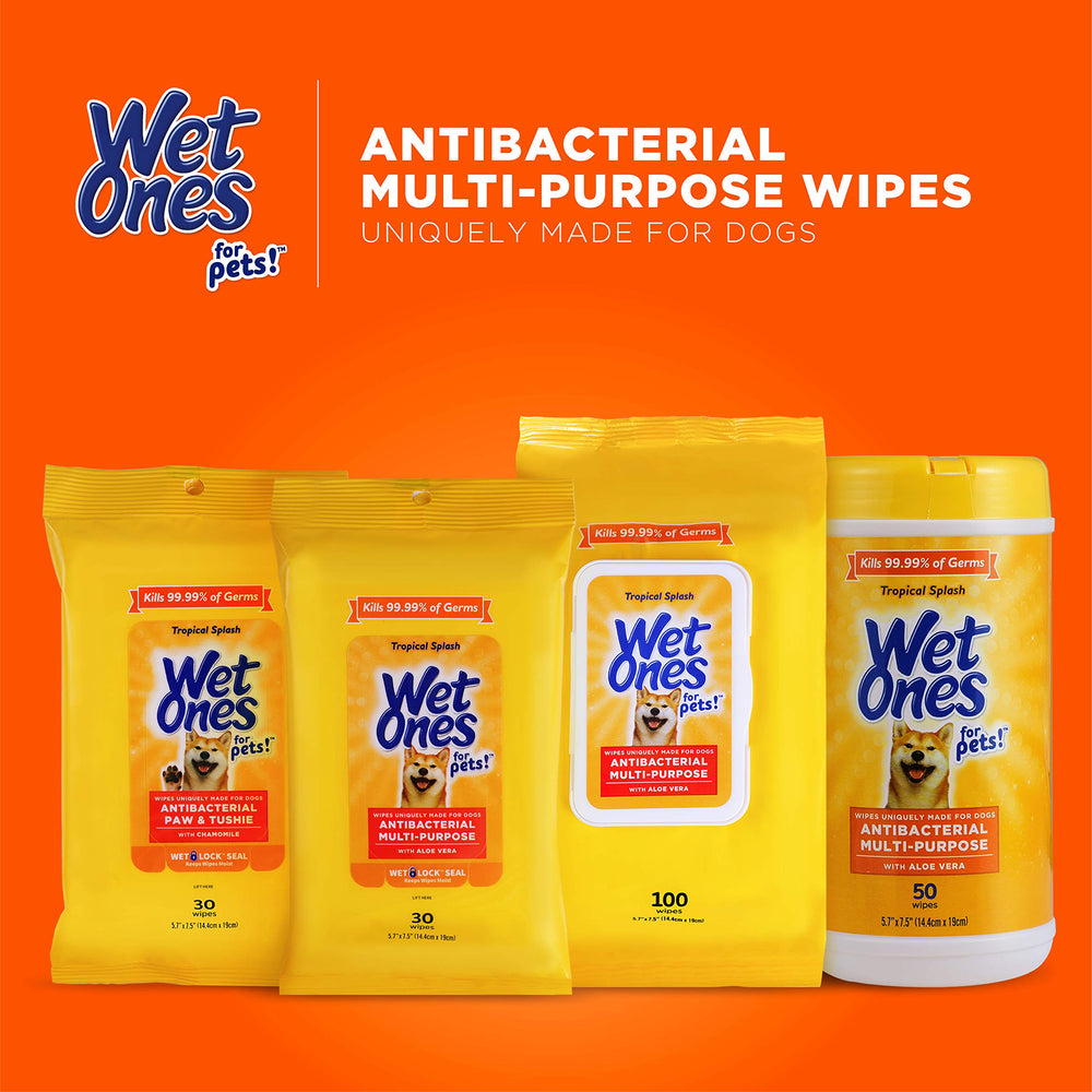 100-count Wet Ones for Pets pack displayed on surface