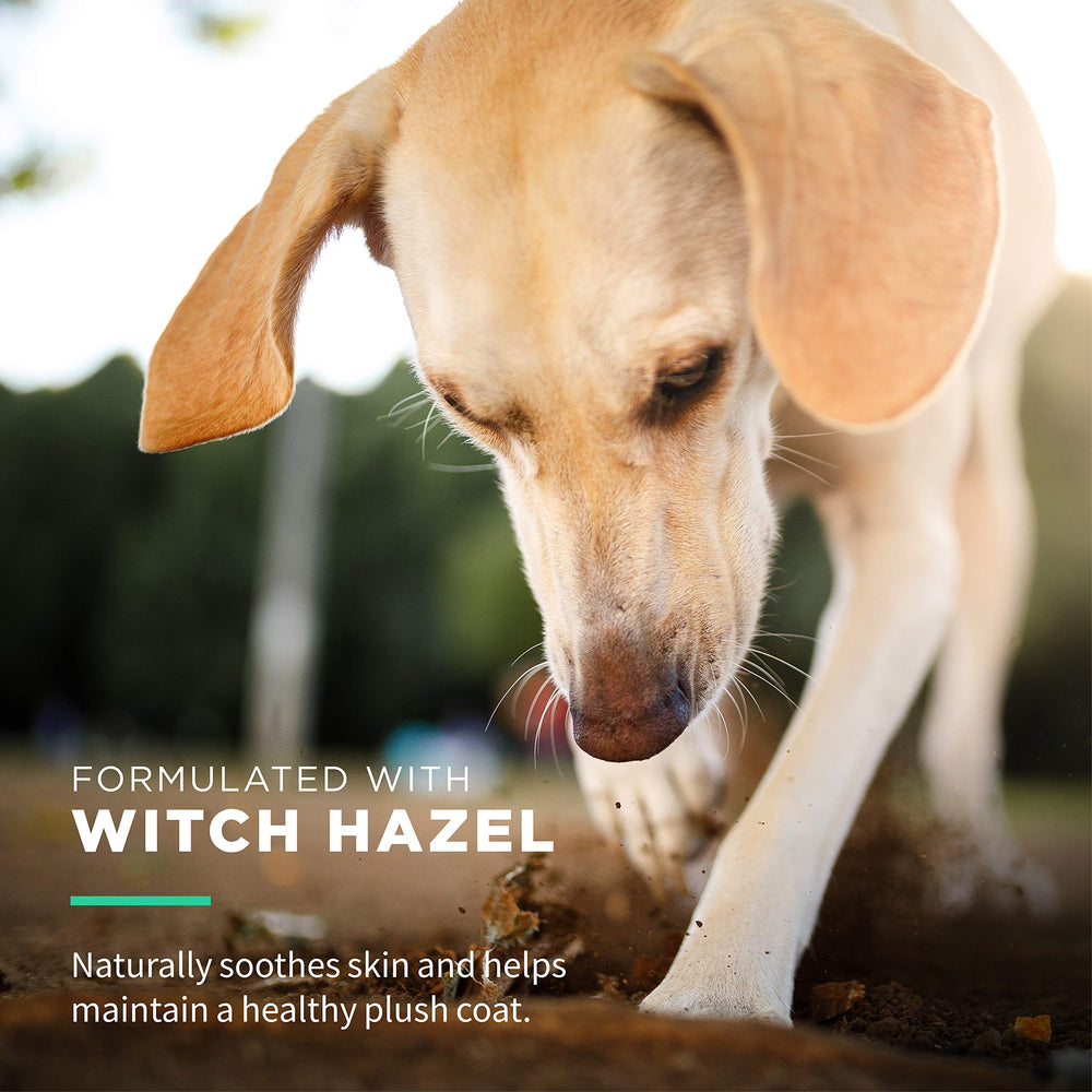 Wet Ones for Pets Extra Gentle Wipes for Ears - safe cleaning of ear areas.