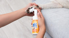 Wet Ones for Pets gentle routine use after walks for daily paw cleanliness