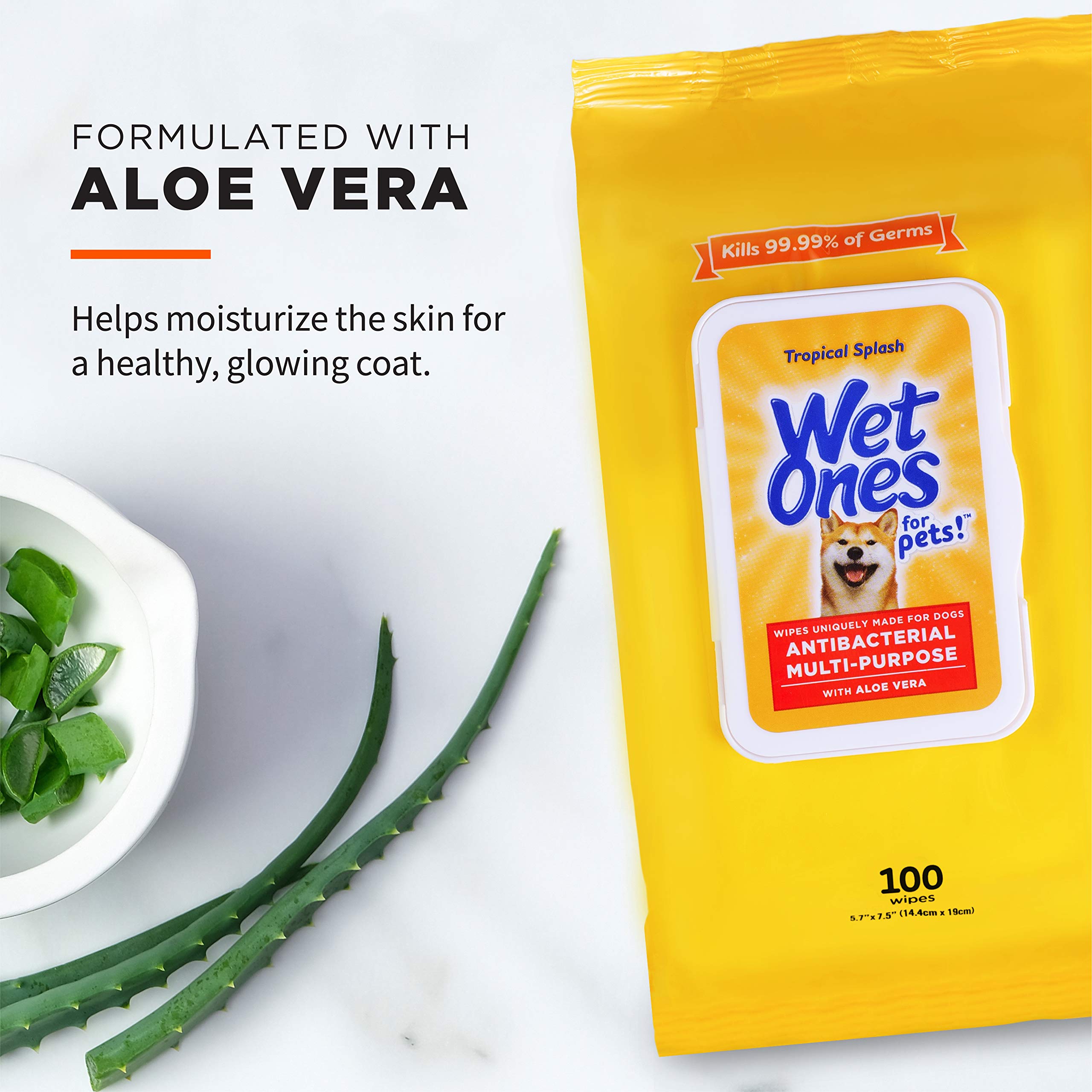 Wet Ones for Pets wipe cleaning a dog's paw after a walk