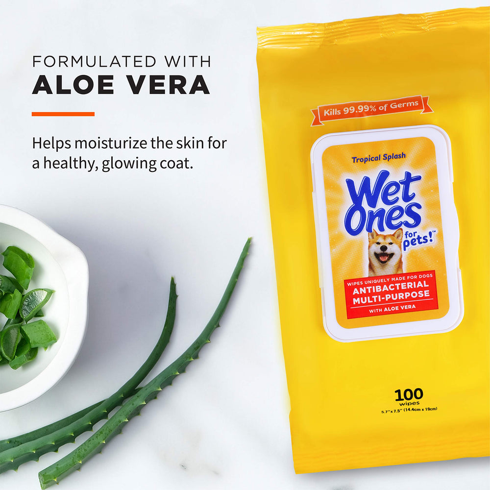 Wet Ones for Pets wipe cleaning a dog's paw after a walk