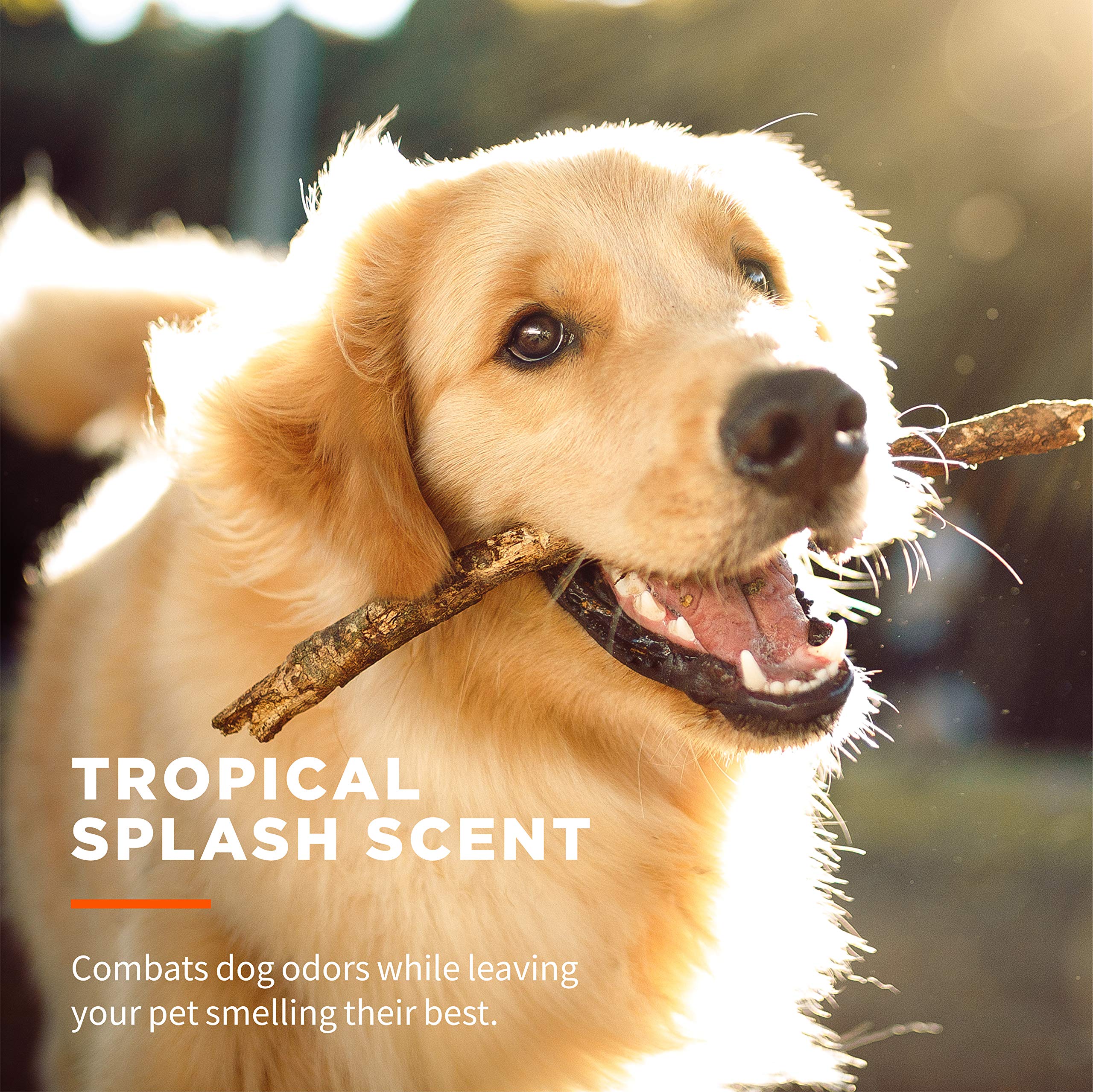 Wet Ones Tropical Splash scent helps keep pets smelling fresh