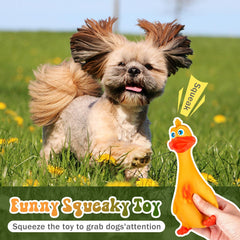 Wettarn monkey squeaky toy adds variety for stimulating playtime