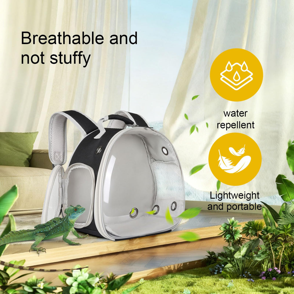 WEVONIGU bearded dragon backpack clear window for sun and scenery