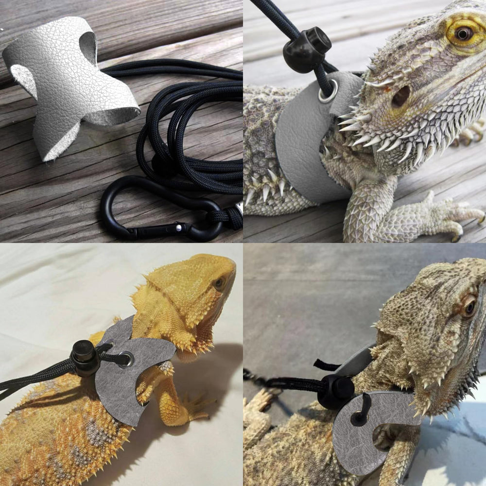 WEVONIGU Bearded Dragon Travel Backpack suited for adventures with reptiles.