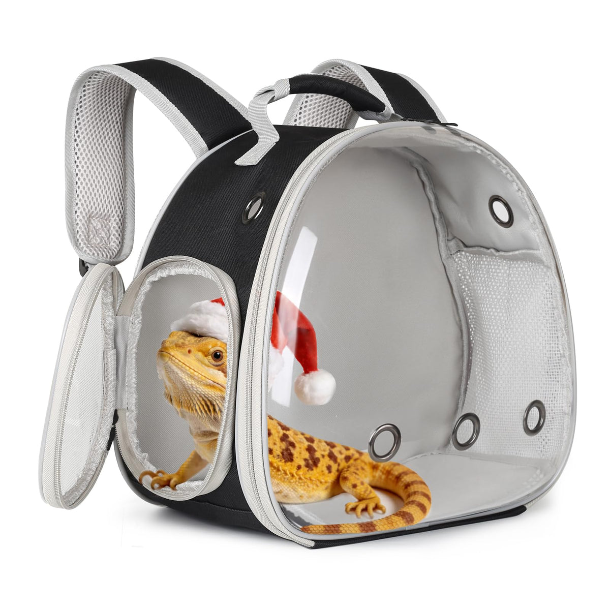 WEVONIGU guinea pig backpack with bubble window for sunny outdoor adventures