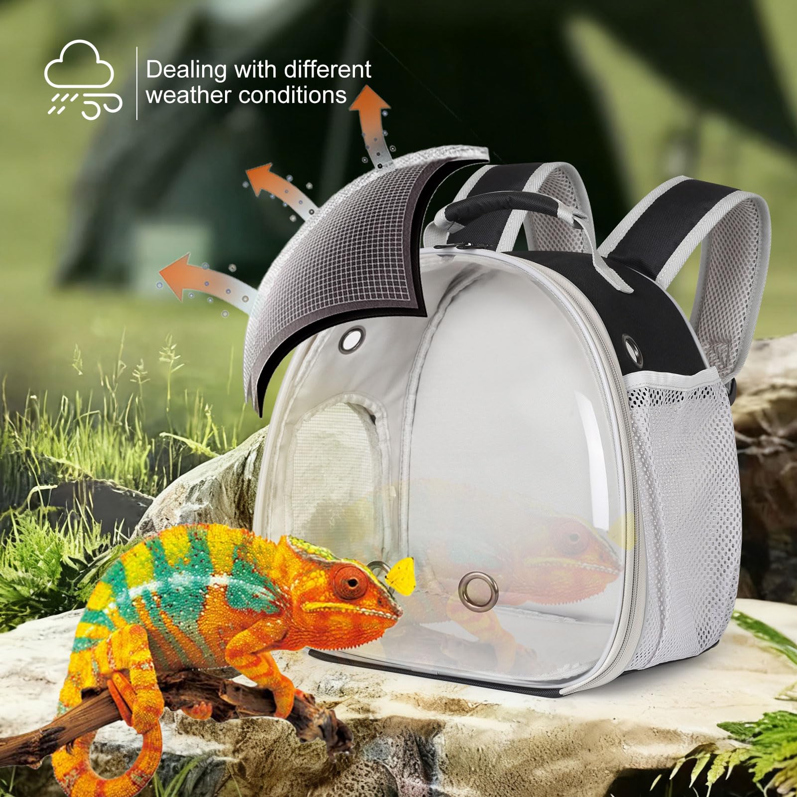 WEVONIGU vented reptile carrier keeps air flowing during journeys.