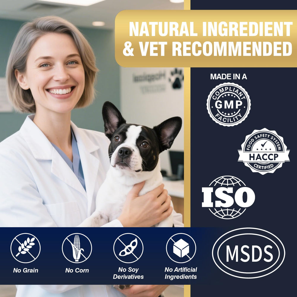 WEYILL melatonin support for dogs promotes restful sleep.
