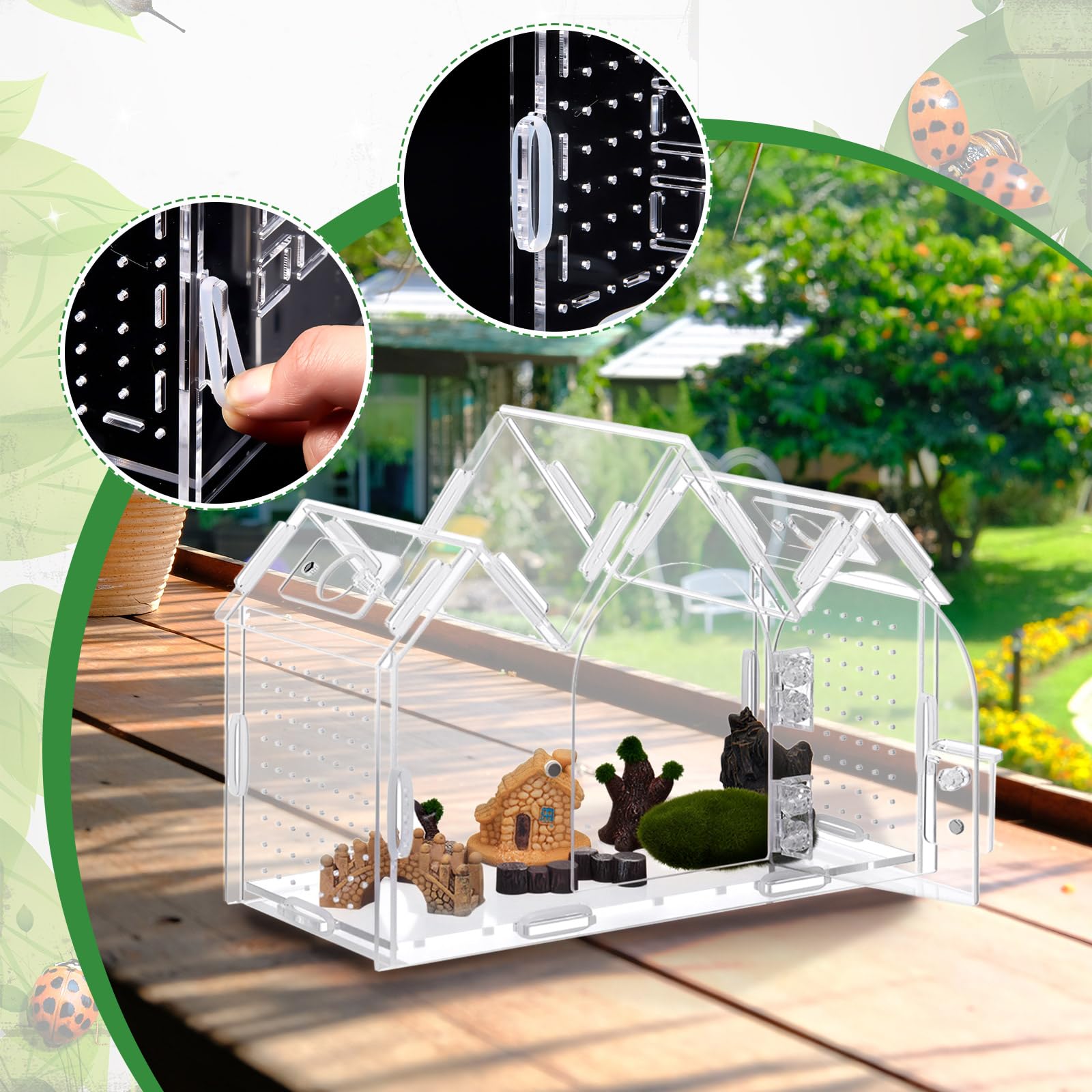 Weysat Jumping Spider Enclosure setup illustrates quick tool-free assembly.