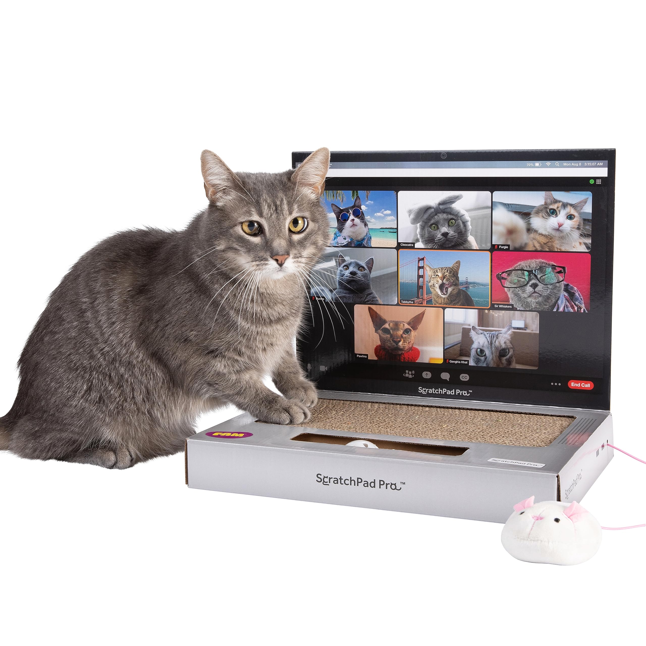 WHAT DO YOU MEME ScratchPad Pro laptop scratcher for durable indoor cat play.