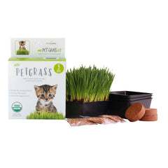 Wheatgrass Kits Handy Pantry cat grass kit with three trays for easy indoor growing.