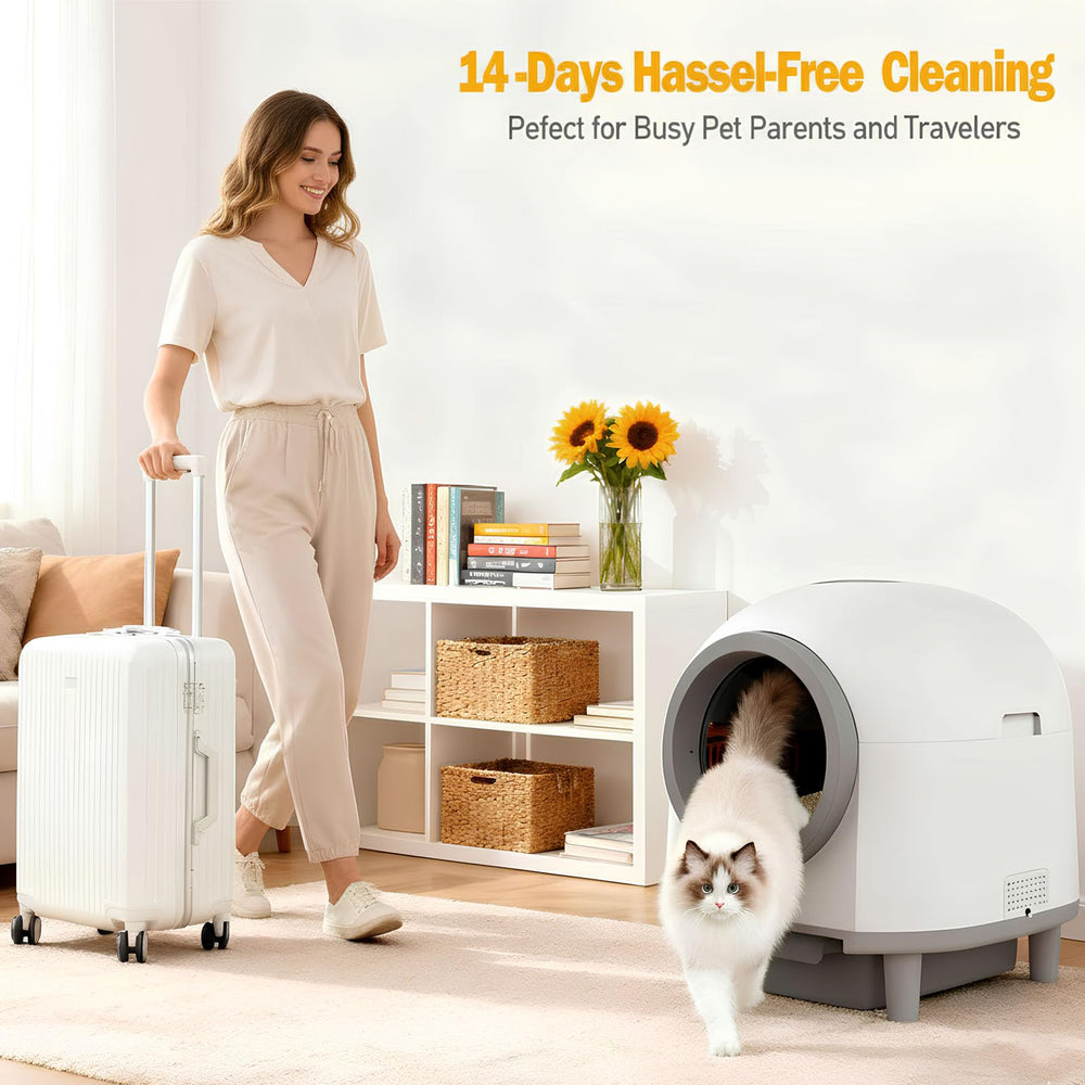 Whiffee senior-friendly entry step aids easy access
