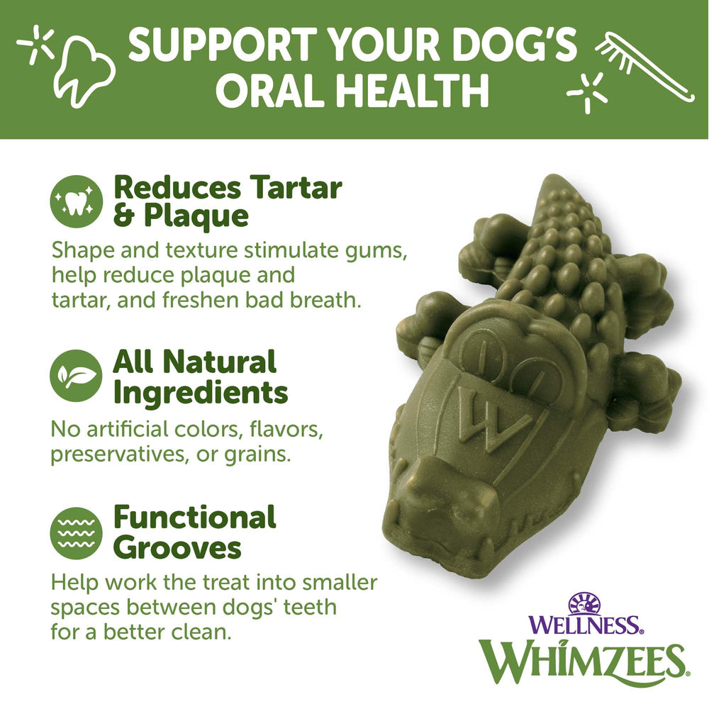 Whimzees dog chewing the Alligator dental chew emphasizing daily use.