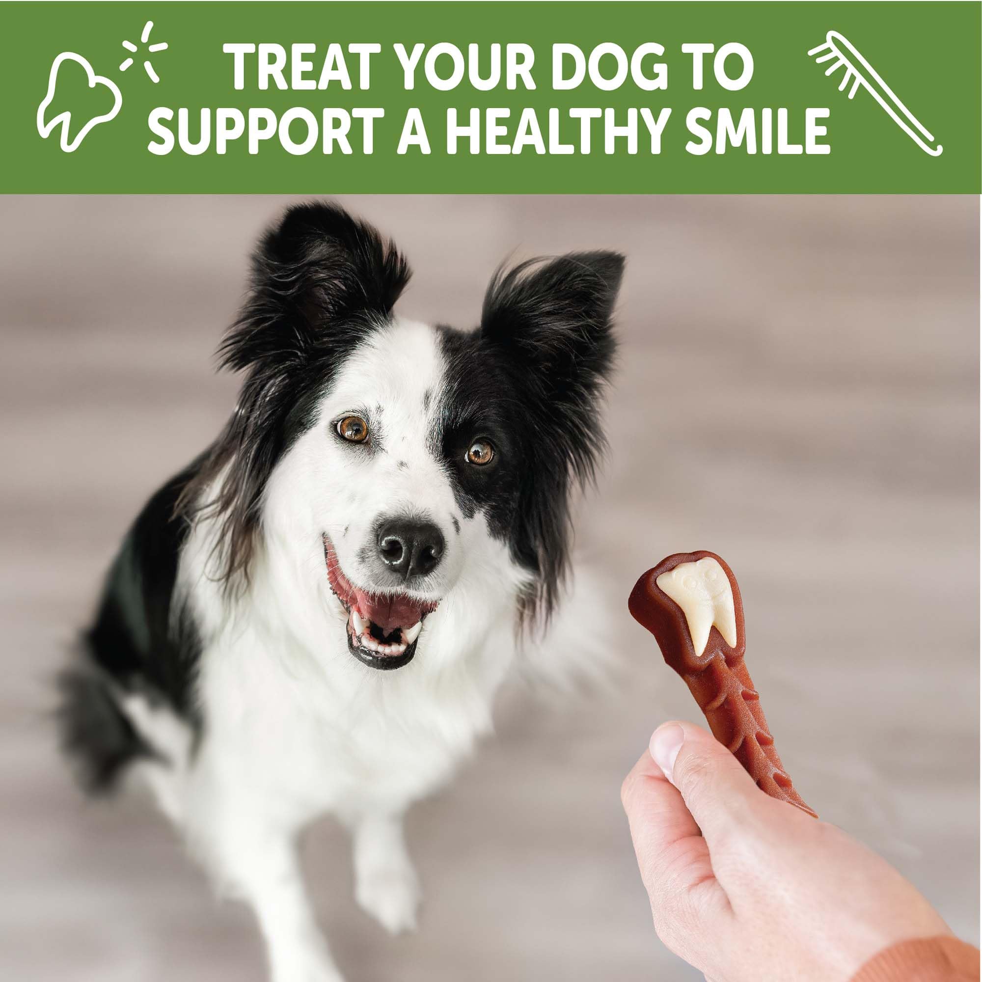 Whimzees Brushzees daily chew-time emphasizes simple dental care routine
