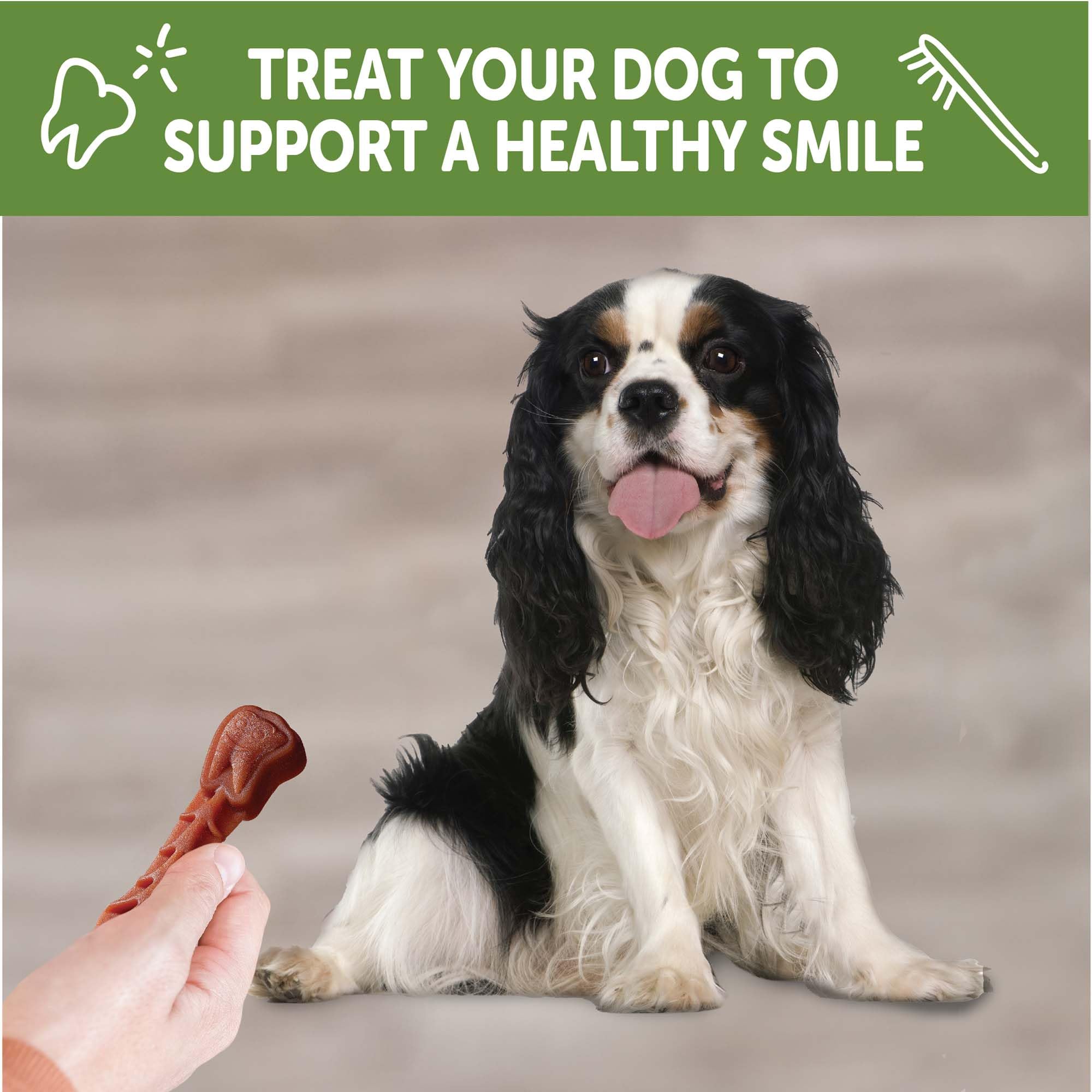 Whimzees Brushzees daily dental care idea presented with a happy, healthy-looking dog.