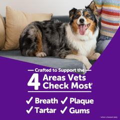 Dog chewing a Whimzees chew during daily dental routine.