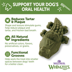 Whimzees Wellness Alligator chew action between teeth, supporting a cleaner mouth.