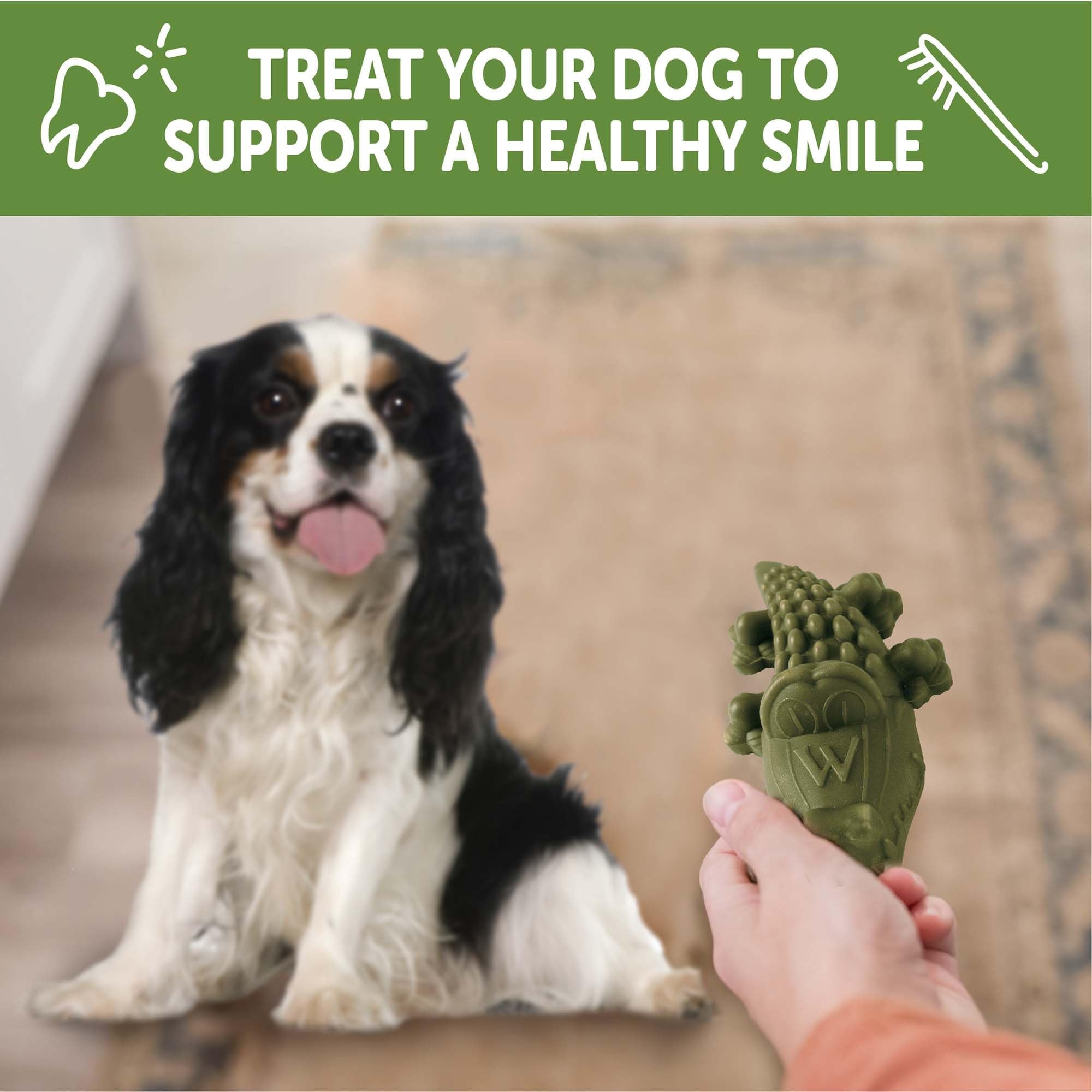 Whimzees Wellness Alligator paw-grip design helps hold while chewing.