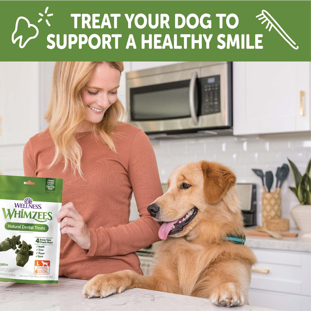 Whimzees Wellness Alligator large-size pack shown for household use.
