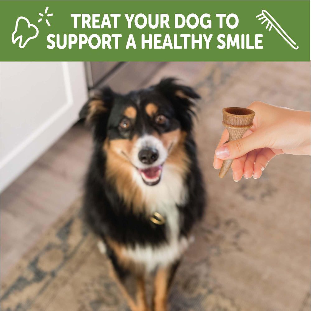 Whimzees Wellness Antler Occupy daily-use chew supports routine dental care