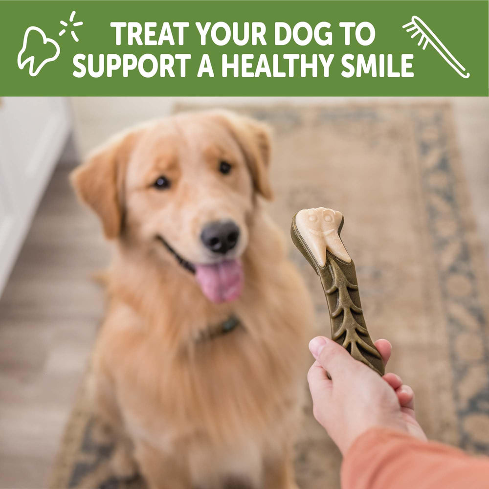 Whimzees grain-free-formula chews support sensitive stomachs without artificial additives.