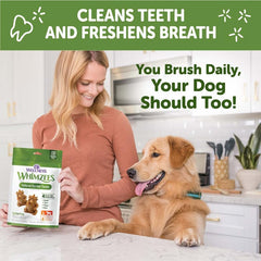 Whimzees Hedgehog chew promoting fresh breath for dogs