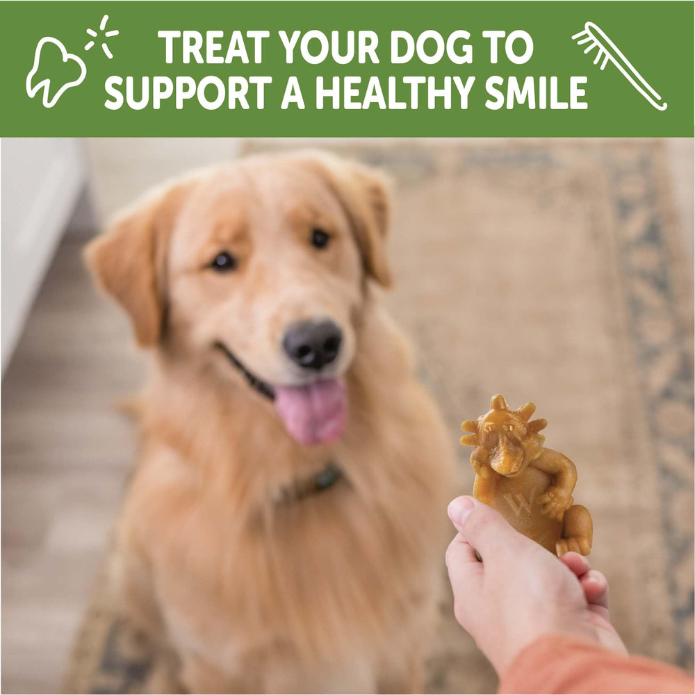 Whimzees large dog chew suitable for 40 to 60 lb dogs