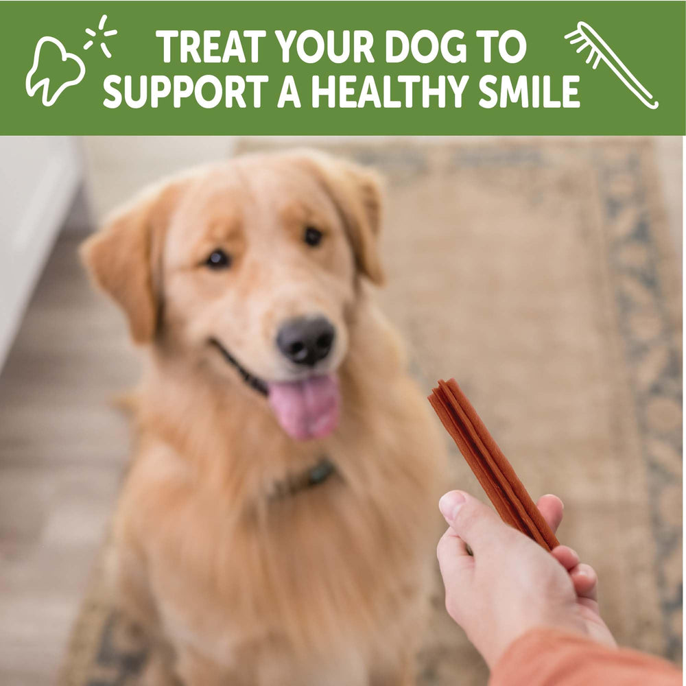 Whimzees Wellness Stix in action promoting freshness during chewing.
