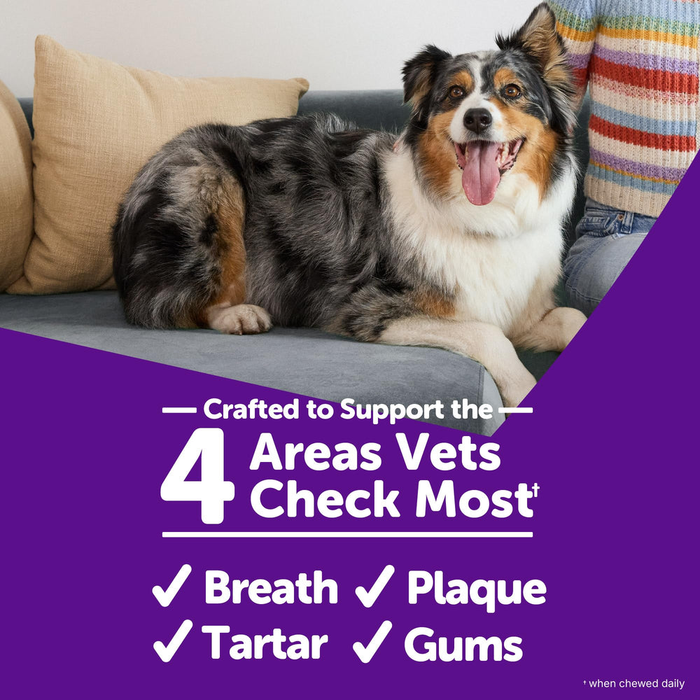 Dog enjoying a long chew with Whimzees Wellness Stix.