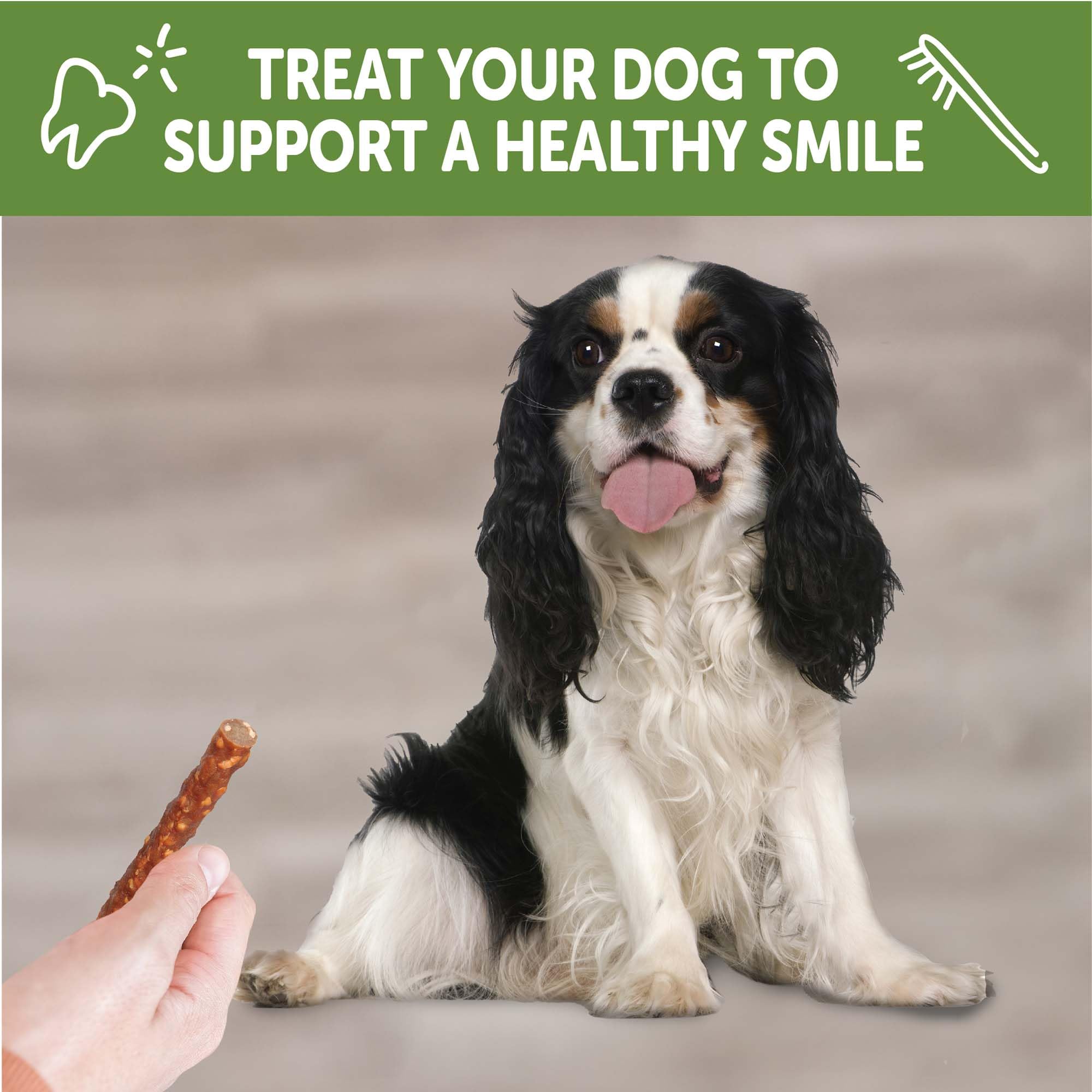 Whimzees Veggie Sausage near dog's muzzle indicating breath refreshing effect
