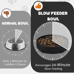 WHIPPY dishwasher-safe dog bowl for easy cleaning after meals.