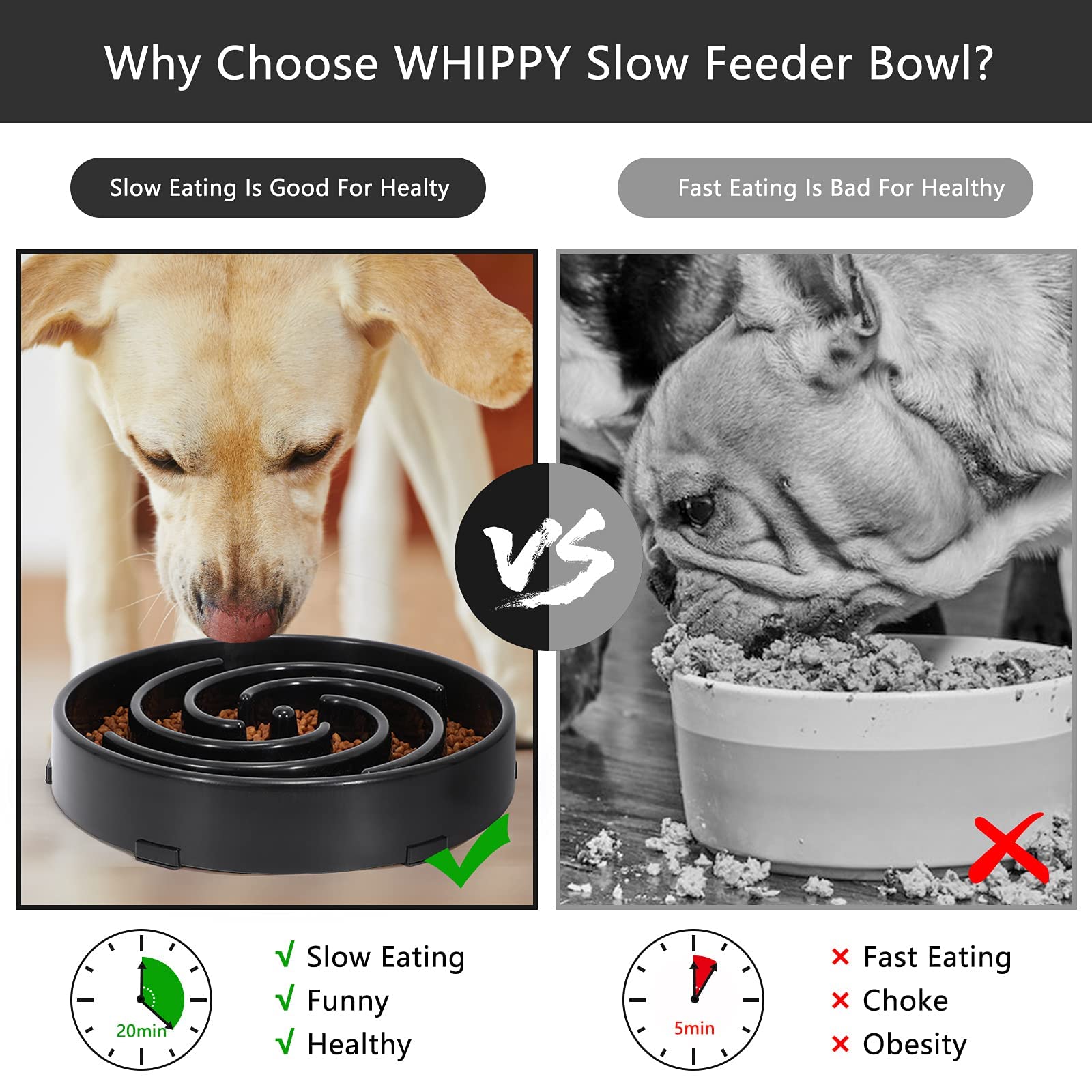 WHIPPY slow feeder bowl color variants to fit home style