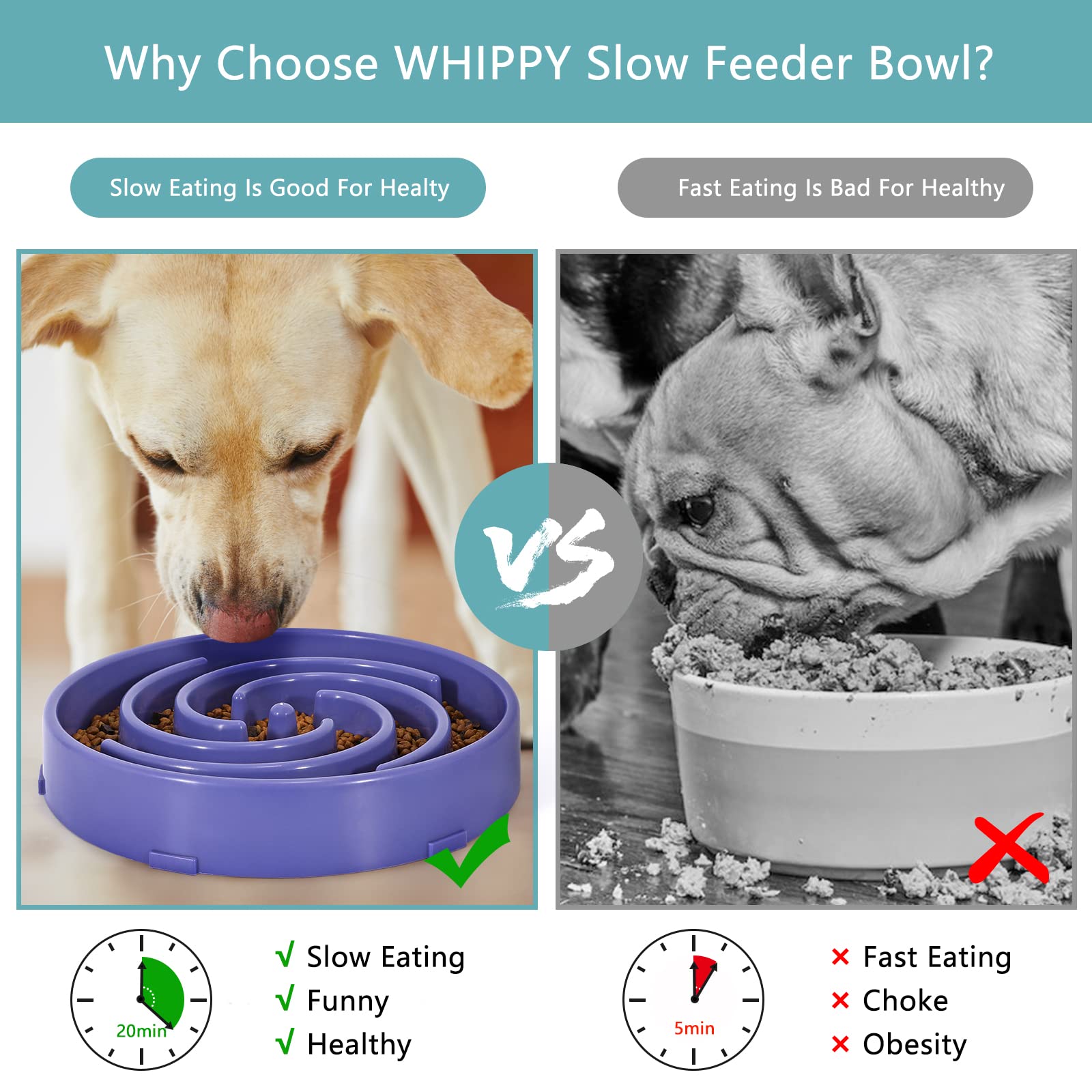 WHIPPY lavender color adds style while reducing gulping during meals