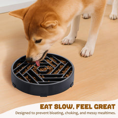 WHIPPY slow-feeder bowl shows non-slip base to prevent spills during feeding.