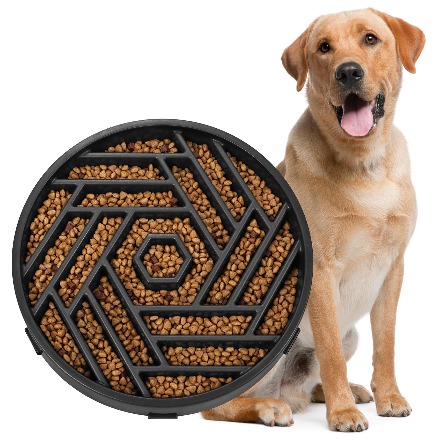 WHIPPY slow-feeder dog bowl with puzzle maze design slows eating and promotes mindful meals.